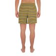 Riviera Stripe Mens Shorts Fashion