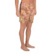 Watercolor Smudge Mens Shorts Hot on Sale